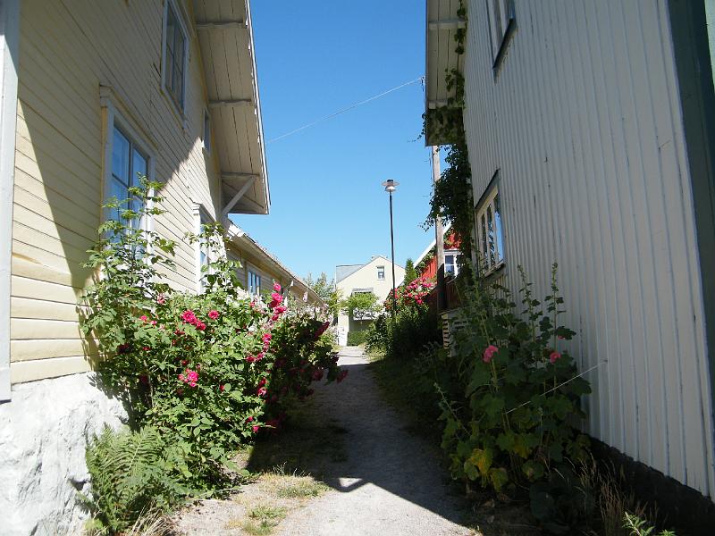 DSCF1588.JPG
